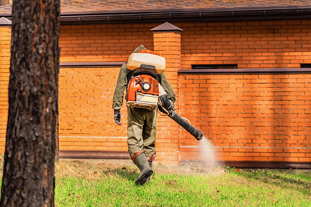 Trusted Termite Control service in Murrysville, PA - Nex Pest Control